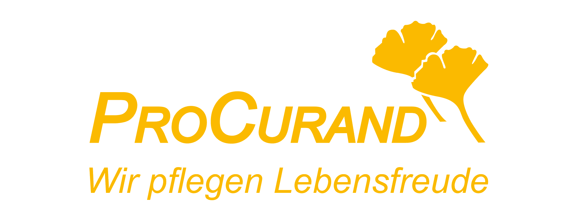 Logo 17